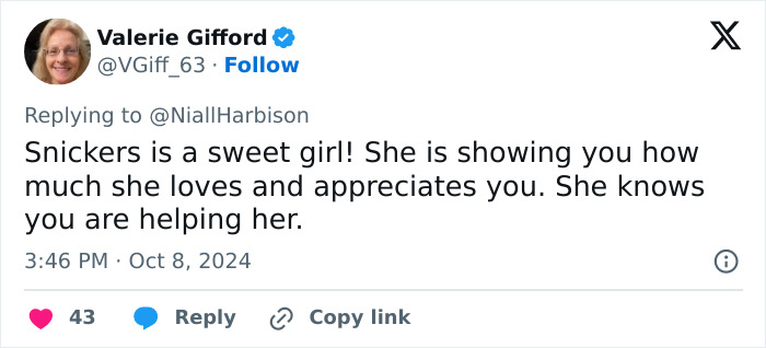 Stray Dog Is Melting Hearts Online For Bringing A Gift For Man Every time He Comes To Feed Her Stray Dog Is Melting Hearts Online For Bringing A Gift For Man Every time He Comes To Feed Her