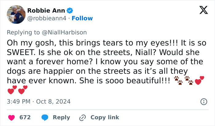 Stray Dog Is Melting Hearts Online For Bringing A Gift For Man Every time He Comes To Feed Her Stray Dog Is Melting Hearts Online For Bringing A Gift For Man Every time He Comes To Feed Her