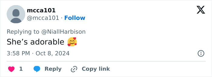 Stray Dog Is Melting Hearts Online For Bringing A Gift For Man Every time He Comes To Feed Her Stray Dog Is Melting Hearts Online For Bringing A Gift For Man Every time He Comes To Feed Her