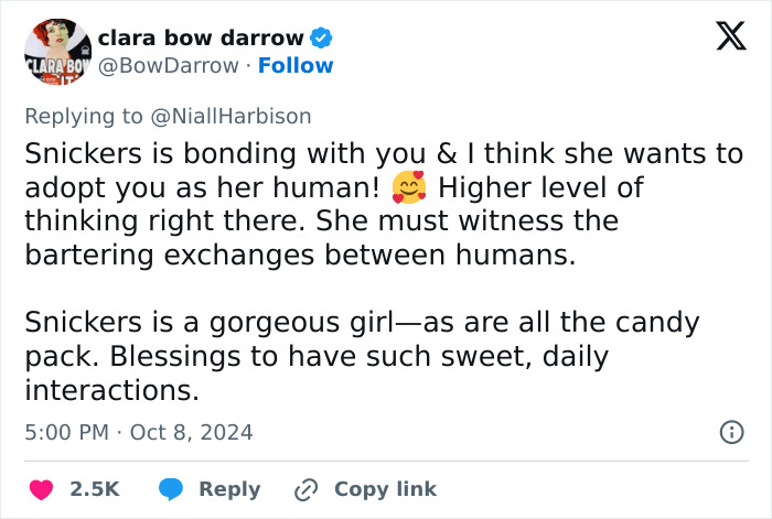 Stray Dog Is Melting Hearts Online For Bringing A Gift For Man Every time He Comes To Feed Her Stray Dog Is Melting Hearts Online For Bringing A Gift For Man Every time He Comes To Feed Her