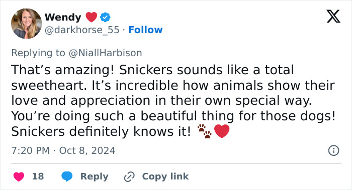 Stray Dog Is Melting Hearts Online For Bringing A Gift For Man Every time He Comes To Feed Her Stray Dog Is Melting Hearts Online For Bringing A Gift For Man Every time He Comes To Feed Her