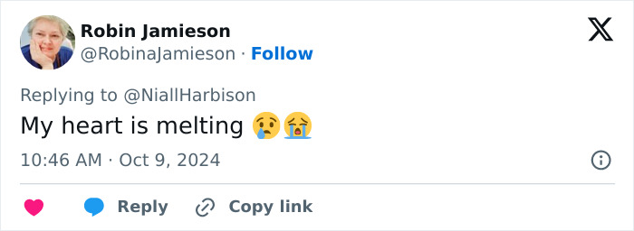 Stray Dog Is Melting Hearts Online For Bringing A Gift For Man Every time He Comes To Feed Her Stray Dog Is Melting Hearts Online For Bringing A Gift For Man Every time He Comes To Feed Her