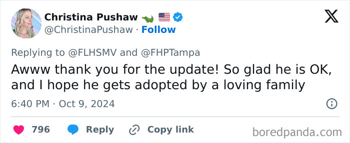 "Find The Perpetrator": Florida Troopers Rescue Dog Tied To Fence Ahead Of Hurricane Milton "Find The Perpetrator": Florida Troopers Rescue Dog Tied To Fence Ahead Of Hurricane Milton