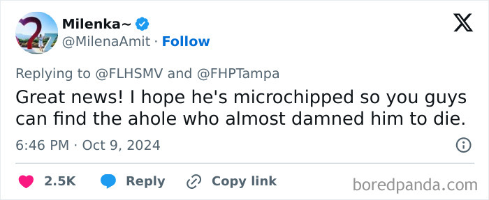 "Find The Perpetrator": Florida Troopers Rescue Dog Tied To Fence Ahead Of Hurricane Milton "Find The Perpetrator": Florida Troopers Rescue Dog Tied To Fence Ahead Of Hurricane Milton