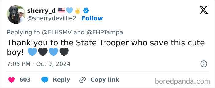 "Find The Perpetrator": Florida Troopers Rescue Dog Tied To Fence Ahead Of Hurricane Milton "Find The Perpetrator": Florida Troopers Rescue Dog Tied To Fence Ahead Of Hurricane Milton