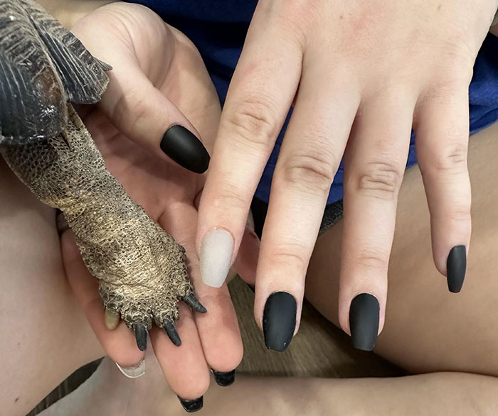People Online Are Obsessed With This Cute Tortoise And His Owner, Who Got A Matching Manicure People Online Are Obsessed With This Cute Tortoise And His Owner, Who Got A Matching Manicure