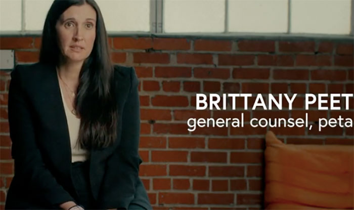 PETA Lawyer Exclusively Opens Up Amid Before And After Photos Of Tonka From “Chimp Crazy” PETA Lawyer Exclusively Opens Up Amid Before And After Photos Of Tonka From “Chimp Crazy”