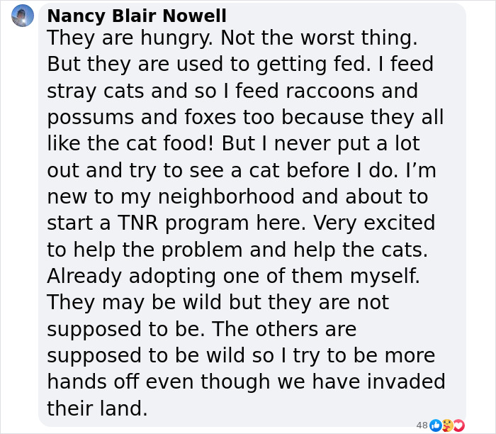 Wild Raccoons Who Were Being Fed By Woman For 35 Years Turn Aggressive, Get 911 Called On Them Wild Raccoons Who Were Being Fed By Woman For 35 Years Turn Aggressive, Get 911 Called On Them