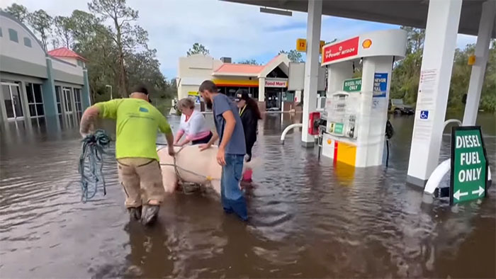 Pig Who Was Left Tied To Petrol Station Before Hurricane Gets Rescued, And People Online Love It Pig Who Was Left Tied To Petrol Station Before Hurricane Gets Rescued, And People Online Love It