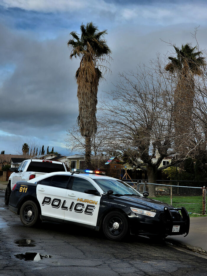 The Huron Police Department Helped A Puppy Who Couldn’t Get Out Of A Smelly Situation Alone The Huron Police Department Helped A Puppy Who Couldn’t Get Out Of A Smelly Situation Alone