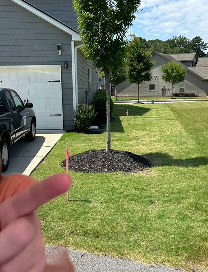 “I Was Trying To Be Kind”: Woman Gives Neighbor A Shot At Bigger Lawn, Faces Rudeness Instead “I Was Trying To Be Kind”: Woman Gives Neighbor A Shot At Bigger Lawn, Faces Rudeness Instead