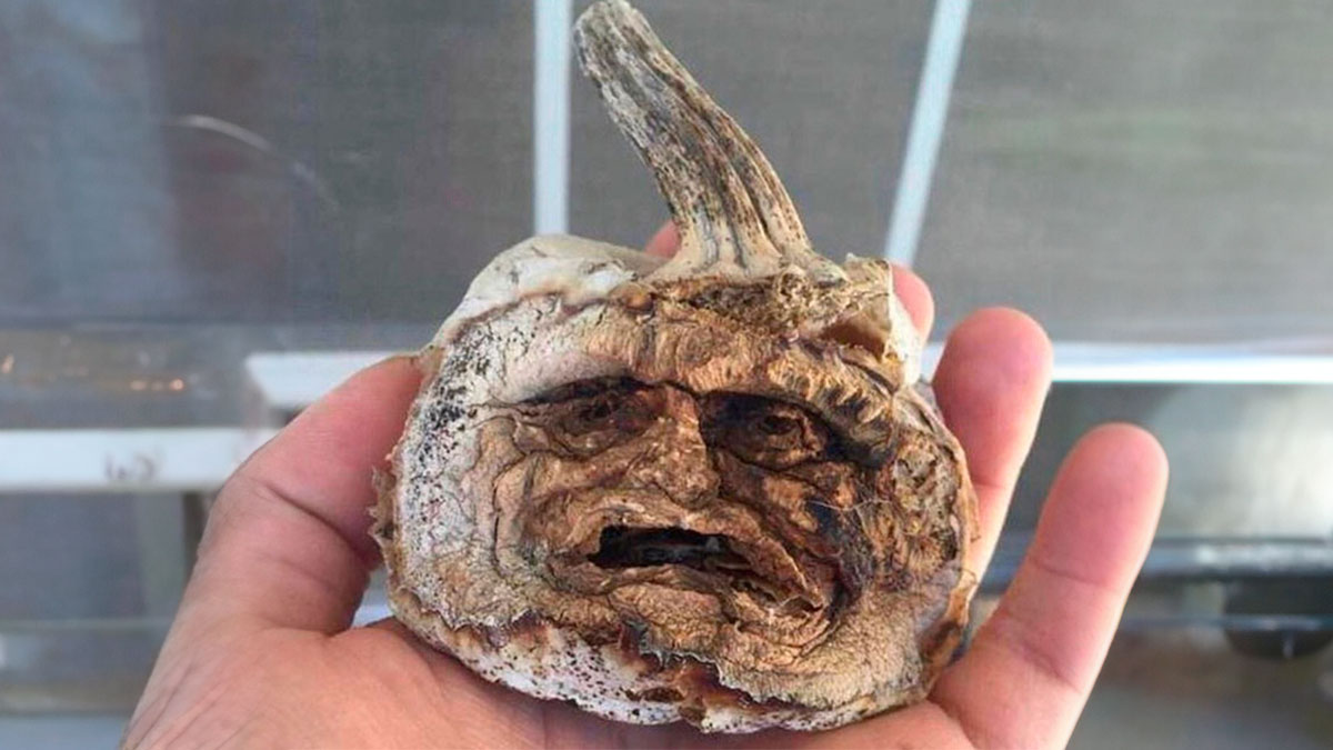 38 Fall Memes That Perfectly Capture The Cozy Vibes Of The Season