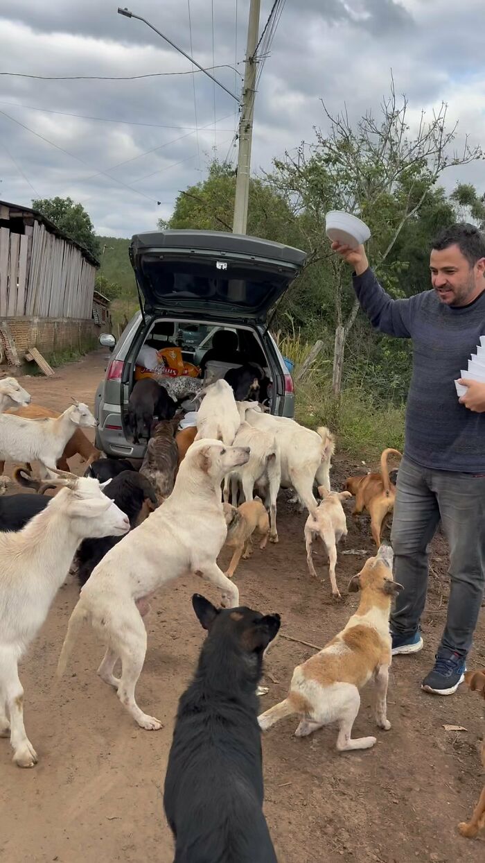 Man feeding stray dogs from his car trunk, surrounded by attentive dogs on a dirt road. Man feeding stray dogs from his car trunk, surrounded by attentive dogs on a dirt road.