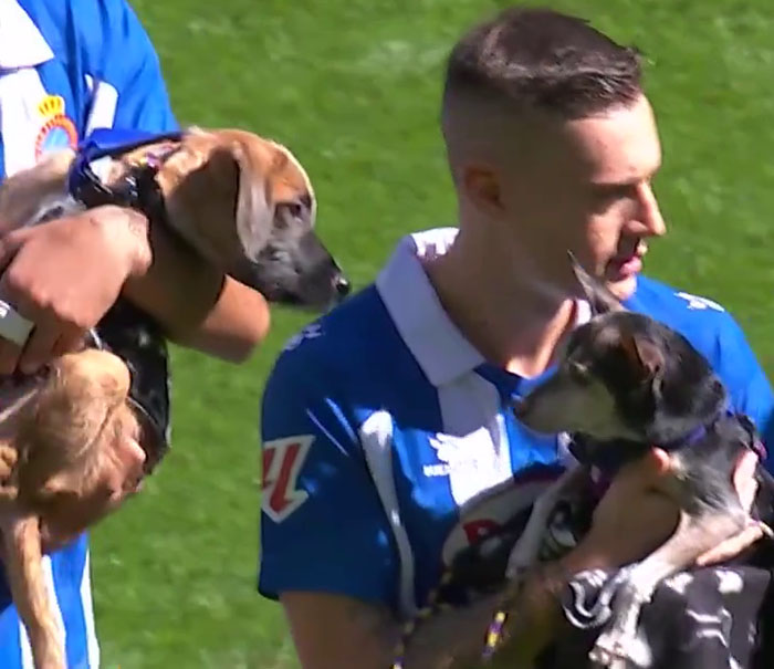 Abandoned Dogs Find Home After Football Team’s Awareness-Raising Action Before The Match Abandoned Dogs Find Home After Football Team’s Awareness-Raising Action Before The Match