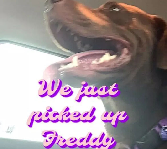 Man Goes Missing With A Dog, Is Rescued Month Later When He Was About To Give Up Man Goes Missing With A Dog, Is Rescued Month Later When He Was About To Give Up