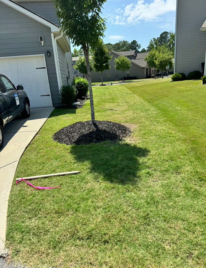 “I Was Trying To Be Kind”: Woman Gives Neighbor A Shot At Bigger Lawn, Faces Rudeness Instead “I Was Trying To Be Kind”: Woman Gives Neighbor A Shot At Bigger Lawn, Faces Rudeness Instead