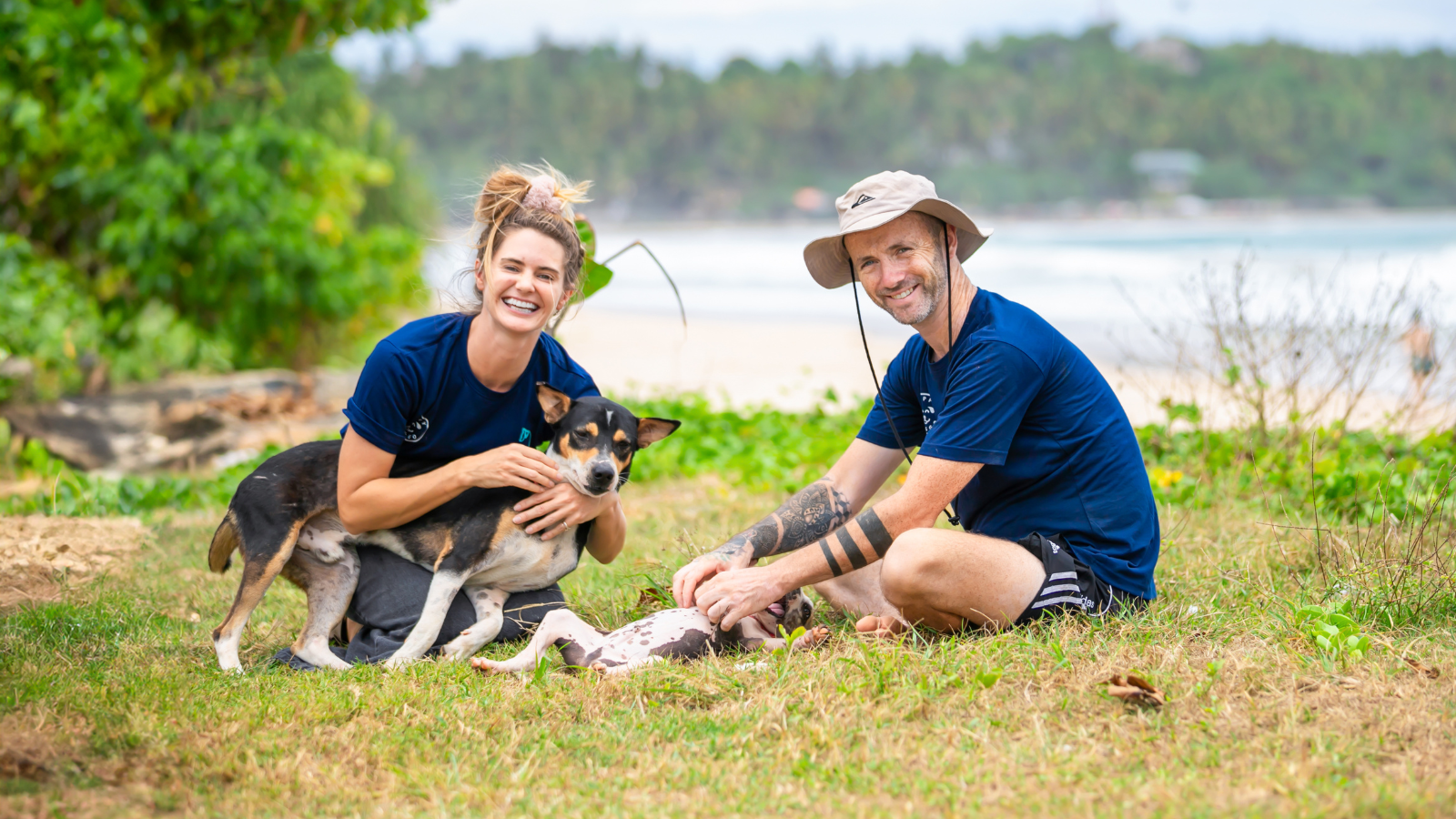 Stray Dog Is Melting Hearts Online For Bringing A Gift For Man Every time He Comes To Feed Her Stray Dog Is Melting Hearts Online For Bringing A Gift For Man Every time He Comes To Feed Her