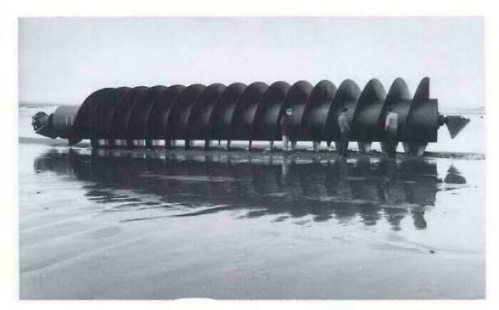 Large industrial s***w conveyor lying on wet sand with reflections, evoking fear for those with megalophobia.