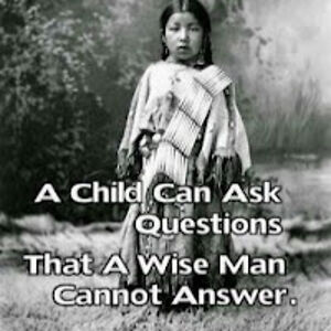 summerwhitewolf avatar