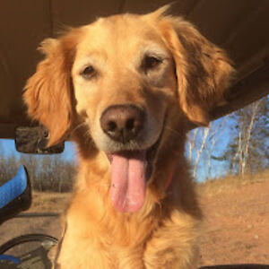 marianhaertelvaughn avatar