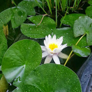 vesnaobradovic avatar