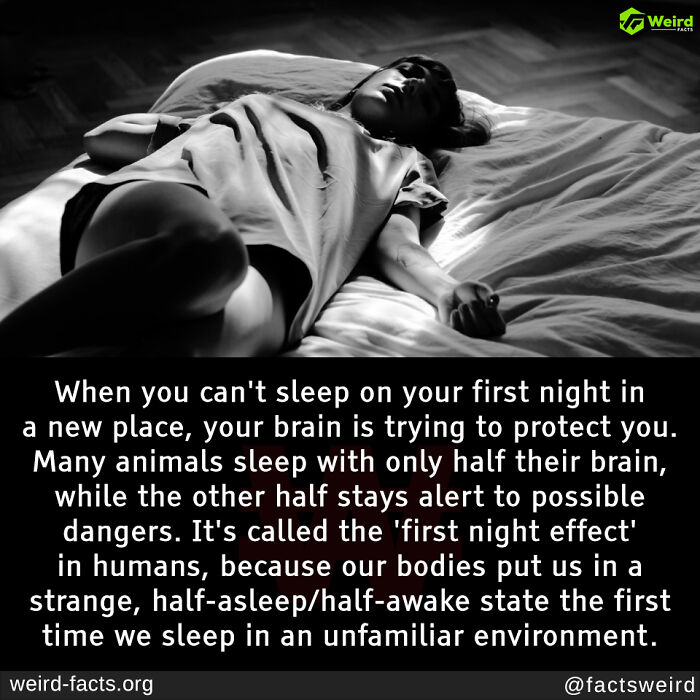 Person lying awake on a bed illustrating the first night effect with brain alertness in unfamiliar environments fun facts.