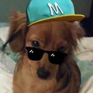 ellenmcconnell123 avatar