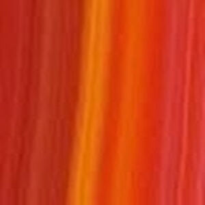 silviagasparini avatar