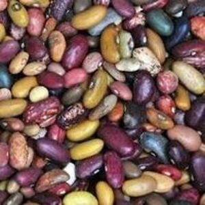 starinthedarkness avatar