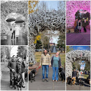 beckykoenig_1 avatar