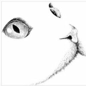 olga_proniewski avatar