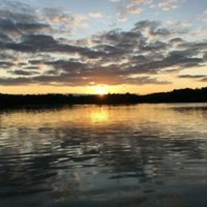 kaylawarren165 avatar