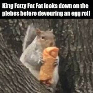 kathleenfinnerty avatar