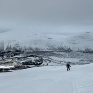 filipe_figueiredo avatar