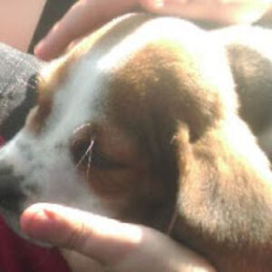 myrlynslilbro avatar