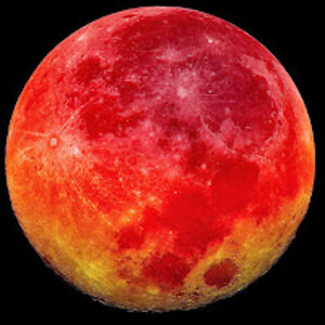 johnathanlugo-browning avatar