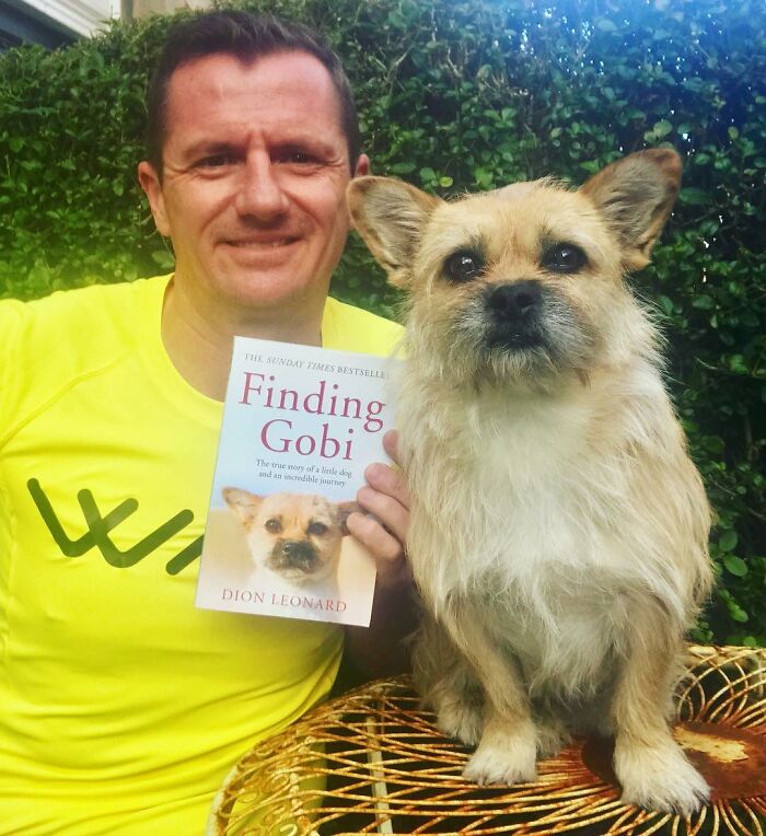 Stray Dog Runs 80 Miles With Athlete In Chinese Desert, Finds A New Home Stray Dog Runs 80 Miles With Athlete In Chinese Desert, Finds A New Home