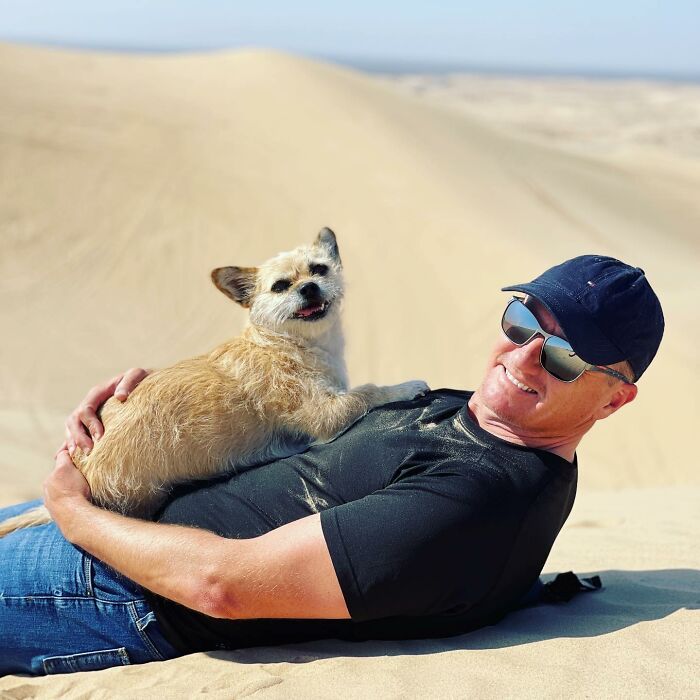 Stray Dog Runs 80 Miles With Athlete In Chinese Desert, Finds A New Home Stray Dog Runs 80 Miles With Athlete In Chinese Desert, Finds A New Home