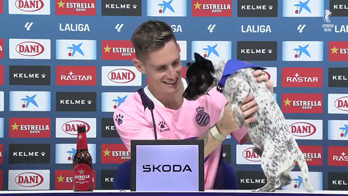 Abandoned Dogs Find Home After Football Team’s Awareness-Raising Action Before The Match Abandoned Dogs Find Home After Football Team’s Awareness-Raising Action Before The Match