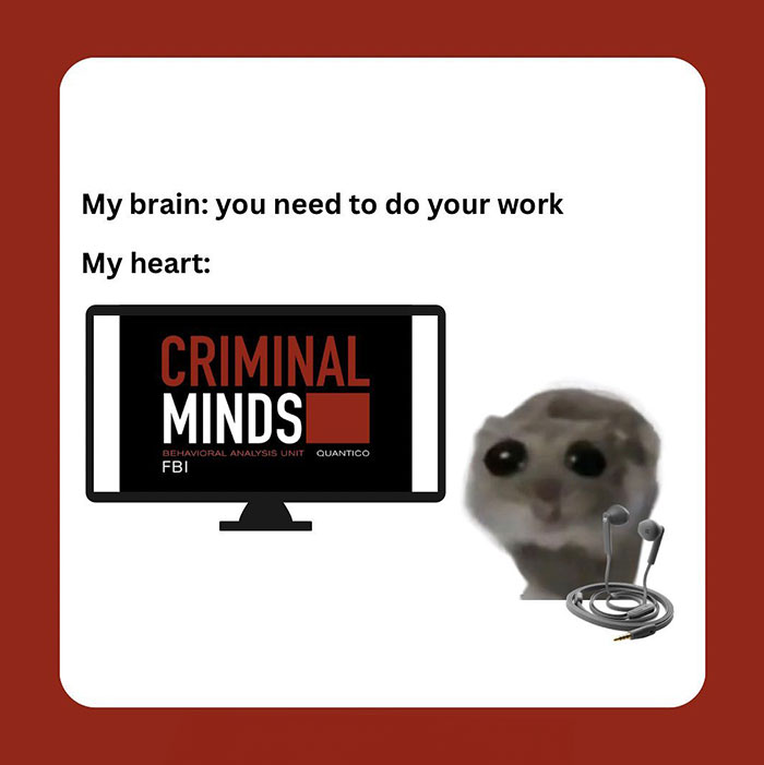 Hamster Computer Meme 30 Hamster Memes That Will Have You Squeaking With Laughter | Bored Panda