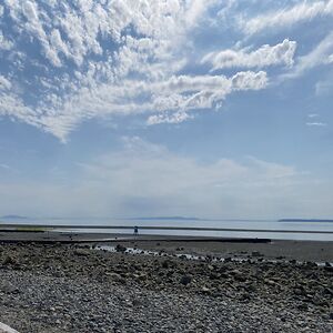 cheryll_veloria_3 avatar