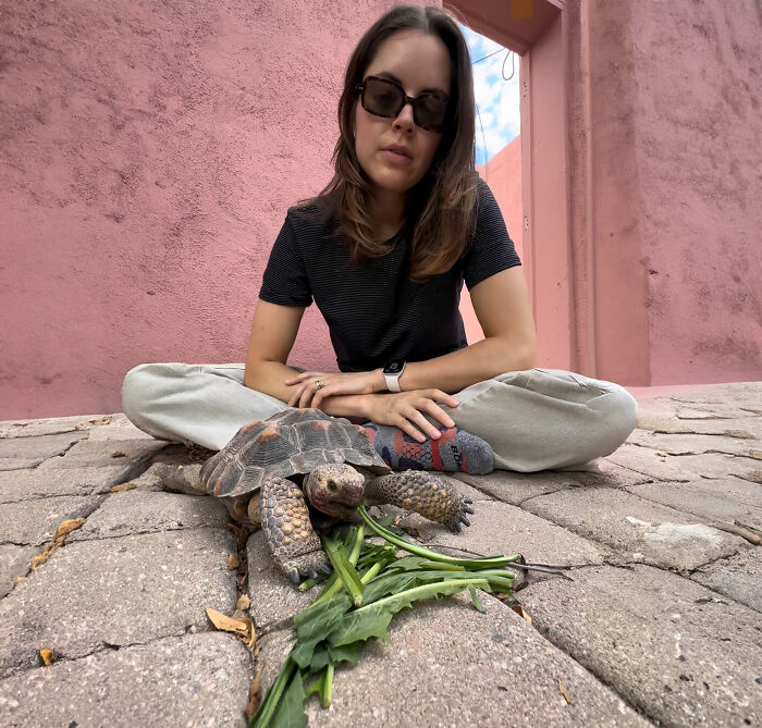 This Woman Has Become True Besties With A Sonoran Desert Tortoise She Recently Adopted This Woman Has Become True Besties With A Sonoran Desert Tortoise She Recently Adopted