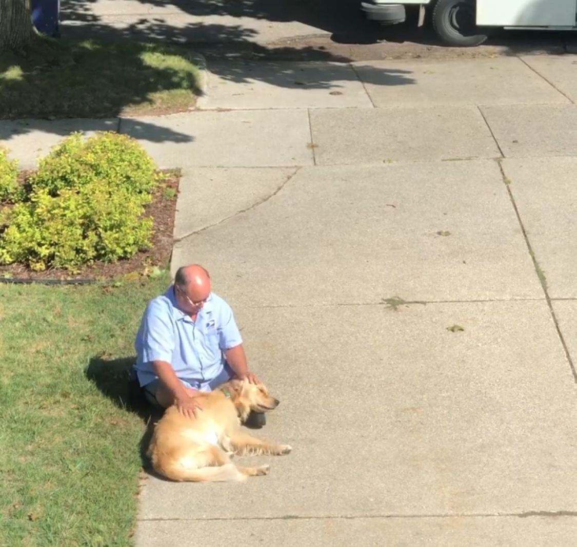 Mailman Finds A Hilarious Way To Greet Beloved Dog Each Morning On His Route Mailman Finds A Hilarious Way To Greet Beloved Dog Each Morning On His Route