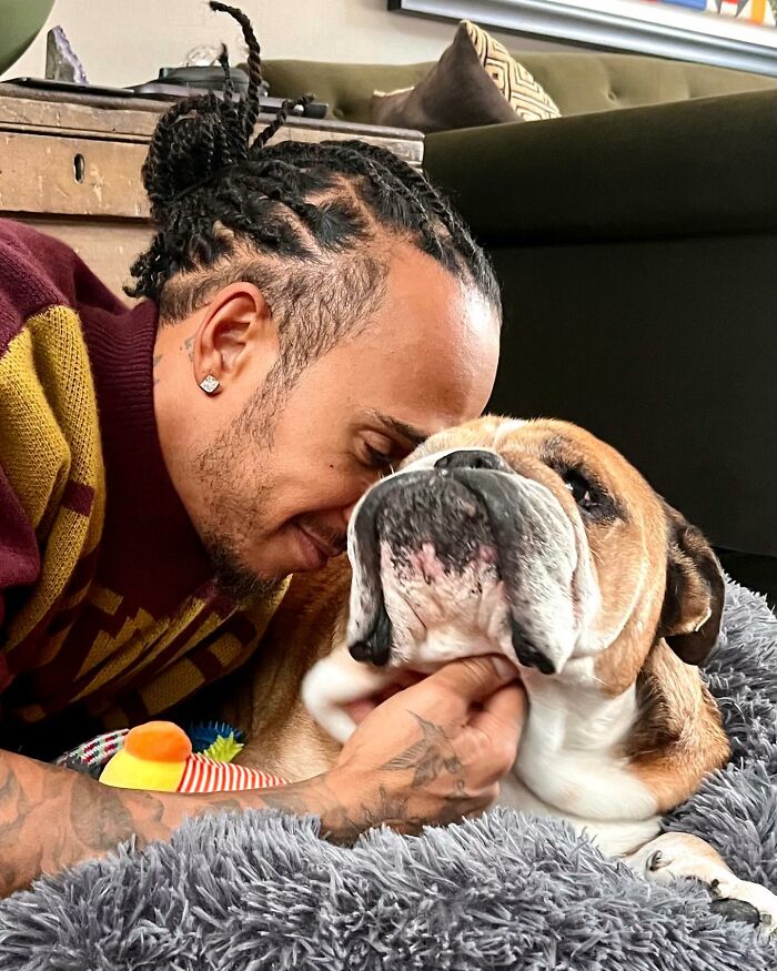Lewis Hamilton Slammed For Putting Dog On Plant-Based Diet: “Put A Steak In Front Of Him” Lewis Hamilton Slammed For Putting Dog On Plant-Based Diet: “Put A Steak In Front Of Him”