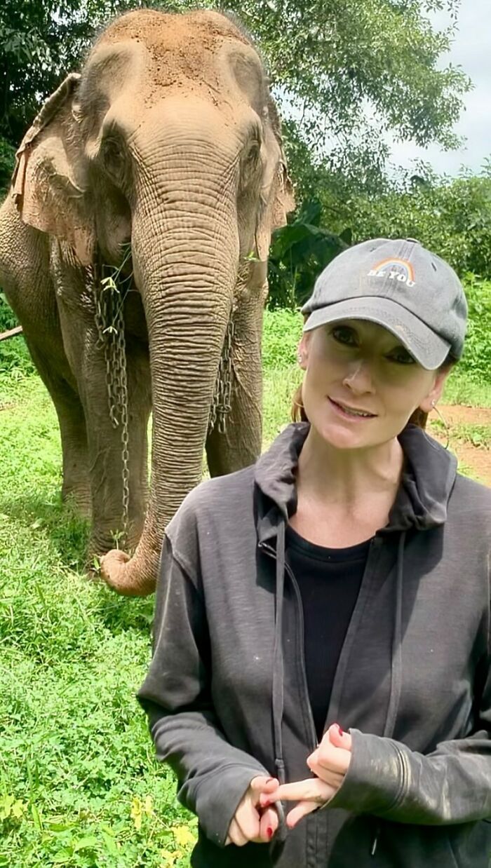 Mare Noi, An Elephant That Endured Cruelty For 41 Years, Is Finally Free Of Her Chains Mare Noi, An Elephant That Endured Cruelty For 41 Years, Is Finally Free Of Her Chains