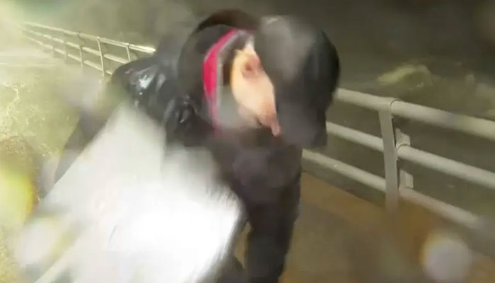 "That Wasn't Good": Anderson Cooper's Face Hit By Flying Debris During Hurricane Milton Coverage "That Wasn't Good": Anderson Cooper's Face Hit By Flying Debris During Hurricane Milton Coverage