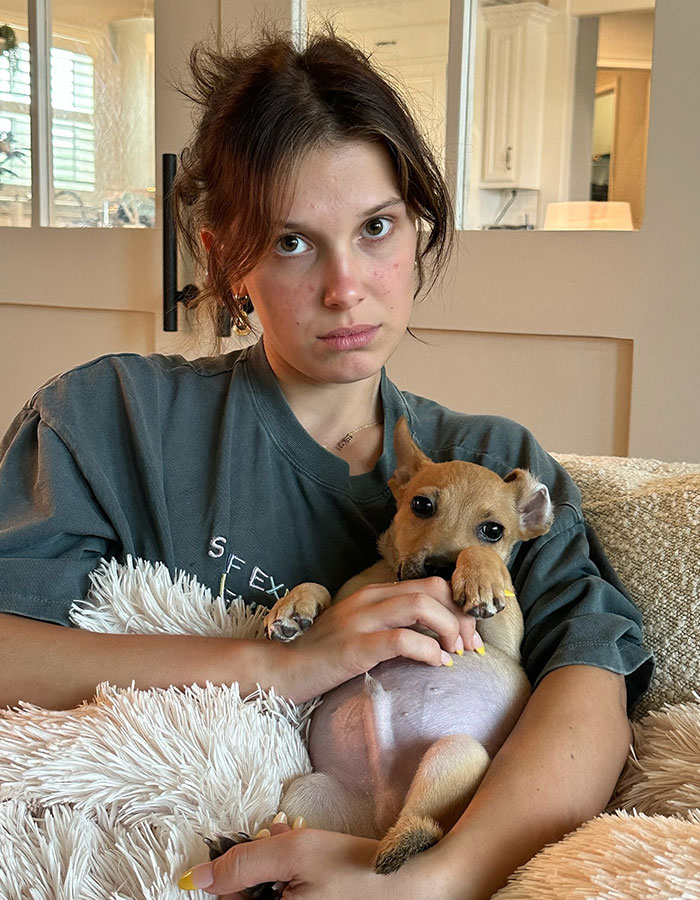 “Way Too Young To Get Married”: Millie Bobby Brown’s Wedding Pictures Spark Age Debate “Way Too Young To Get Married”: Millie Bobby Brown’s Wedding Pictures Spark Age Debate