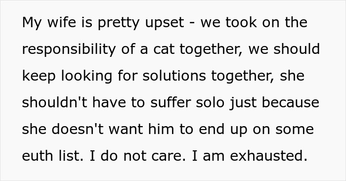 Man Loses Patience Over Wife’s “Frustratingly Annoying” Cat, Gives Her An Ultimatum Man Loses Patience Over Wife’s “Frustratingly Annoying” Cat, Gives Her An Ultimatum