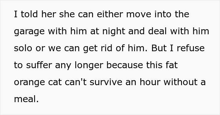 Man Loses Patience Over Wife’s “Frustratingly Annoying” Cat, Gives Her An Ultimatum Man Loses Patience Over Wife’s “Frustratingly Annoying” Cat, Gives Her An Ultimatum