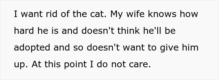 Man Loses Patience Over Wife’s “Frustratingly Annoying” Cat, Gives Her An Ultimatum Man Loses Patience Over Wife’s “Frustratingly Annoying” Cat, Gives Her An Ultimatum